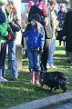 IMG_9148