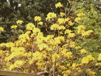 2019 05 06 82999