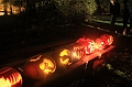 2011_11_05_1580
