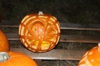 2016 11 05 37681