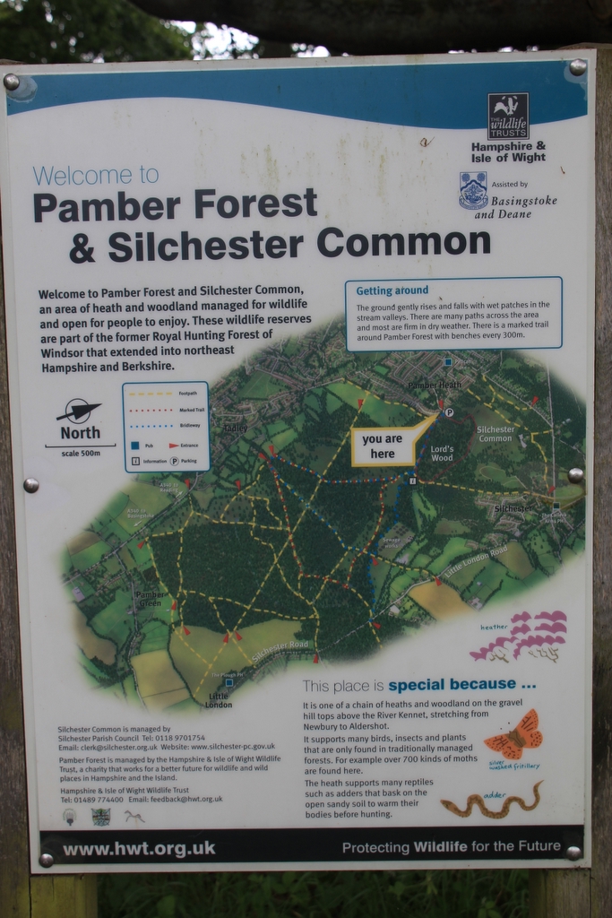 2011_05_29_02311.JPG