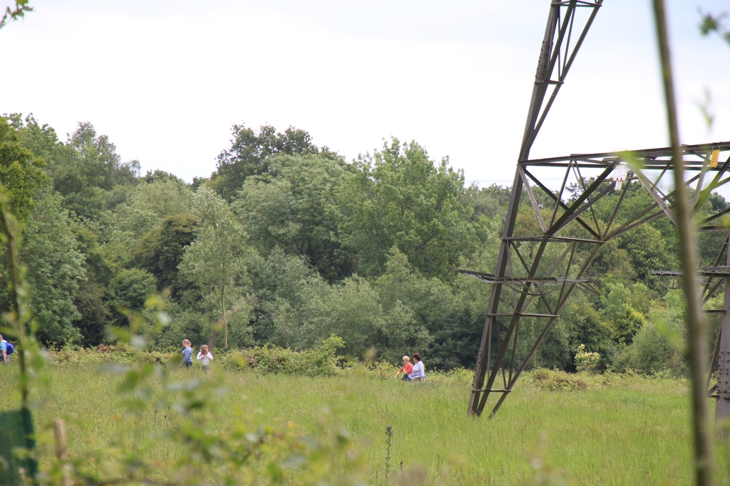 2011_05_29_02321.JPG