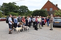 2011_05_29_02309
