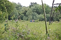 2011_05_29_02320