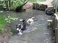 IMG_0062