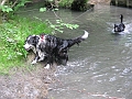 IMG_0063