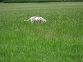 IMG_0069