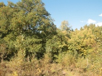 2020 10 11 01288