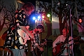 IMG_8982-1