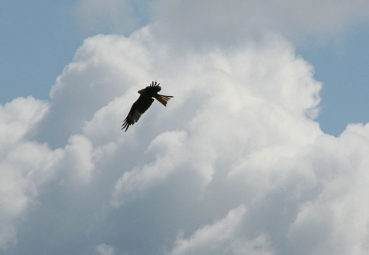 IMG_5480.JPG