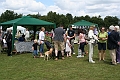 IMG_5553