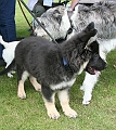 IMG_5571