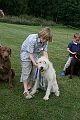 IMG_5801