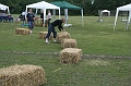IMG_1714