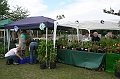 IMG_1746