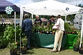 IMG_1753