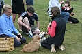 IMG_1870