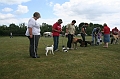 IMG_1877