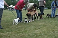 IMG_1878