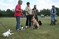 IMG_1882