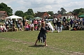 IMG_1891