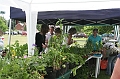 IMG_1934