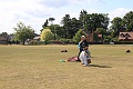 2011_06_11_02351