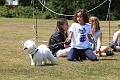 2011_06_11_02530