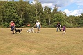 2011_06_11_02603