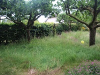 2017 06 25 46626