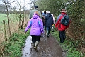 IMG_3228