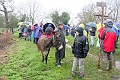 IMG_3241