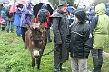IMG_3242
