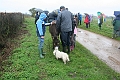 IMG_3253