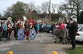 IMG_9786