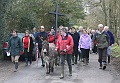 IMG_9813