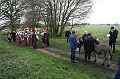 IMG_9815