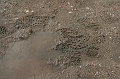 IMG_9848