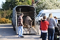 2011_04_17_00693