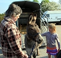 2011_04_17_00697