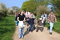 2011_04_17_00841