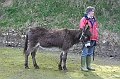 IMG_0061