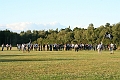 IMG_8725