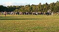 IMG_8730