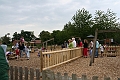 IMG_5190