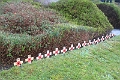 2011_11_13_1834