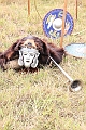 2010_07_17_1468