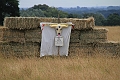 2010_07_18_1983