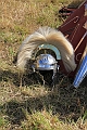 2010_07_18_2264